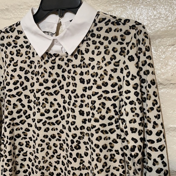 ❌SOLD❌ Zac & Rachel - Picture 4 of 11